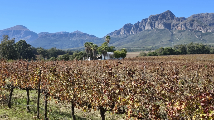 Commercial Property for Sale in Wellington Rural Western Cape